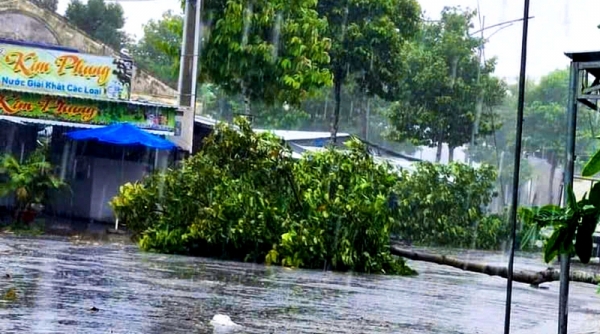 Vĩnh Long: Chủ động triển khai các biện pháp ứng phó ảnh hưởng của bão số 3