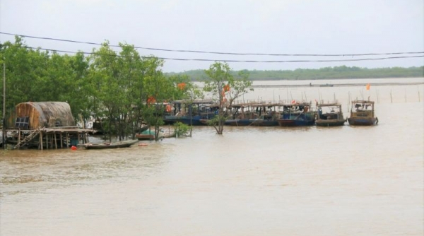 Ninh Bình tập trung ứng phó với bão Yagi