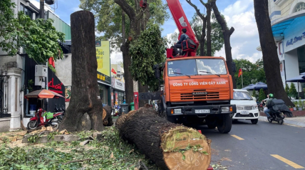 TP. Hồ Chí Minh ứng phó bão số 3, gây mưa to, gió giật mạnh