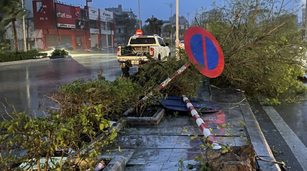 Quảng Ninh: TP. Hạ Long tan hoang sau khi tâm bão số 3 đổ bộ