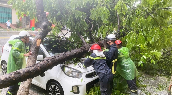 Bắc Ninh: Dốc sức khẩn trương khắc phục thiệt hại sau bão