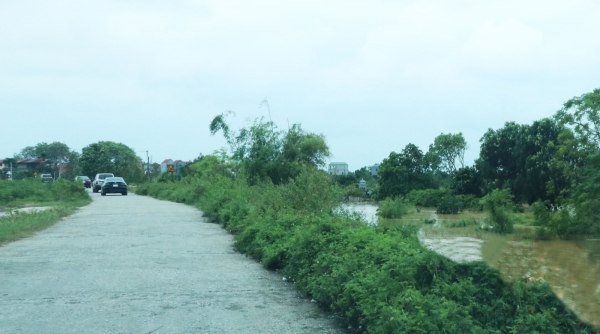 Bắc Ninh: Cấm tuyệt đối phương tiện di chuyển trên đê, trừ các xe làm nhiệm vụ