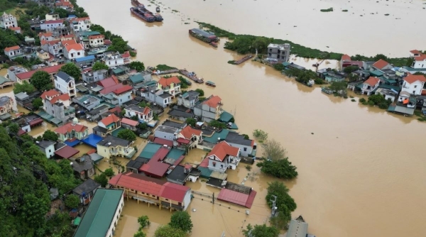 Ninh Bình: Nguy cơ lũ khẩn cấp trên sông Đáy và sông Hoàng Long