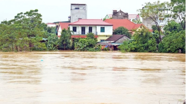 Vĩnh Phúc: Rút báo động III trên sông Phó Đáy