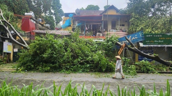 Ước tính chi trả khoảng 7.000 tỷ đồng bảo hiểm do bão số 3 và lũ lụt gây ra