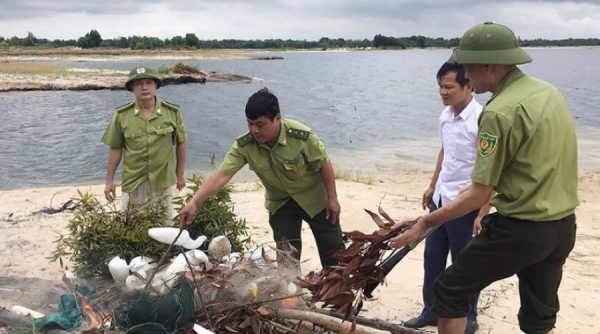 Hà Tĩnh: Ngăn chặn săn bắt chim di cư mùa mưa bão