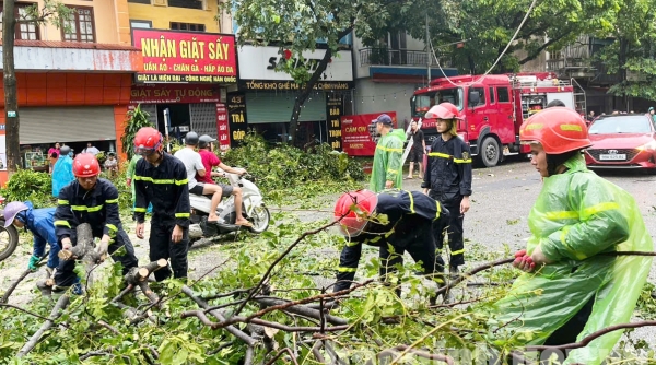 Bắc Giang: Tuyệt đối không để phát sinh dịch bệnh sao bão, lũ