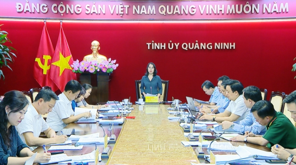 Quảng Ninh: Kịp thời ban hành cơ chế, chính sách hỗ trợ người dân, doanh nghiệp bị thiệt hại do bão số 3