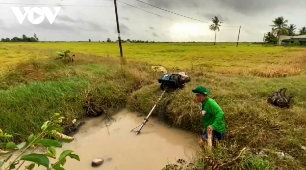 Bạc Liêu: Tăng cường công tác phòng chống ngập úng, triều cường, bảo vệ sản xuất nông nghiệp