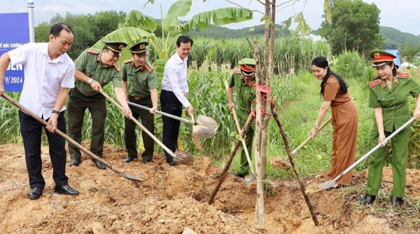 Hà Tĩnh hưởng ứng chương trình “Vì một Việt Nam xanh”