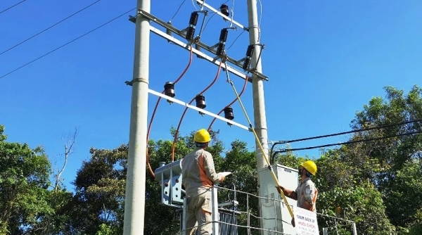 Công ty Thành Đạt thực hiện kê khai hợp đồng nguyên tắc và nhân sự không trung thực tại gói thầu xây lắp điện nông thôn