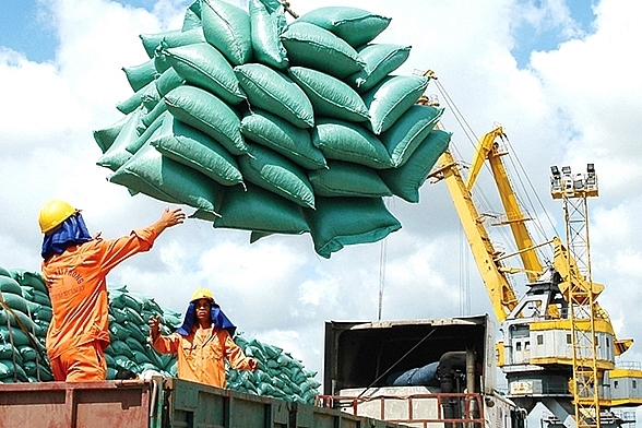 Lợi thế của gạo Việt Nam xuất khẩu vào các nước ASEAN rất lớn
