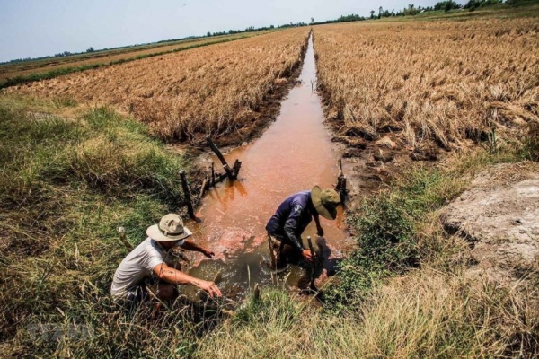 Chuyên gia trao đổi các giải pháp sống chung với hạn mặn ở Đồng bằng sông Cửu Long