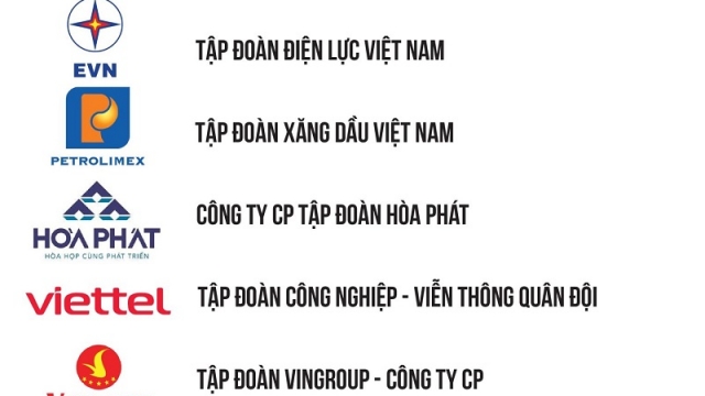 EVN - Top 10 doanh nghiệp lớn nhất Việt Nam