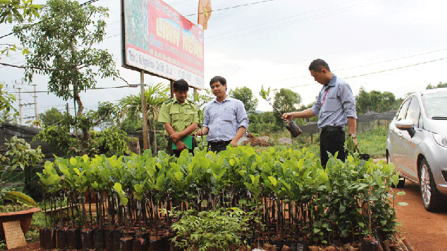 Tăng cường xử lý vi phạm trong kinh doanh giống cây trồng và vật tư nông nghiệp