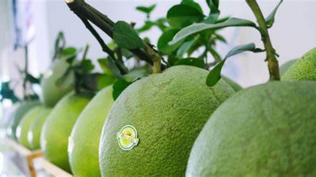 Đổi mới sáng tạo: Đưa xuất khẩu hoa quả Việt Nam vươn tầm thế giới