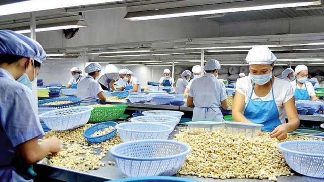 Muốn chinh phục thị trường Hoa Kỳ, nông sản Việt phải thắng bằng chất lượng và chuỗi giá trị