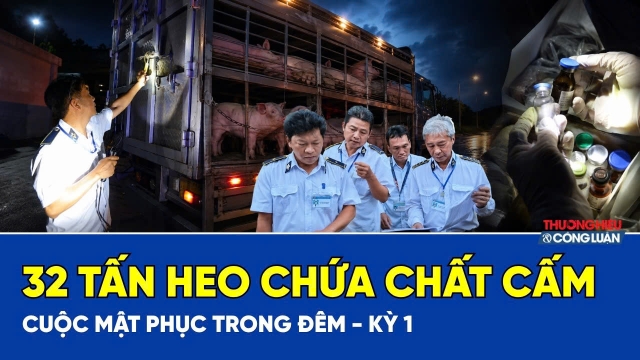 Cuộc mật phục trong đêm, chặn 35 tấn heo chứa chất cấm | An toàn cho bữa ăn của 14 triệu dân TP.HCM
