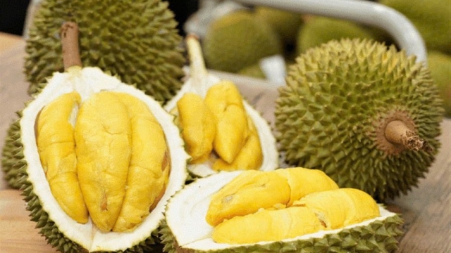 Sầu riêng Việt trước cơ hội bứt phá, nhưng không thể chỉ dựa vào sản lượng