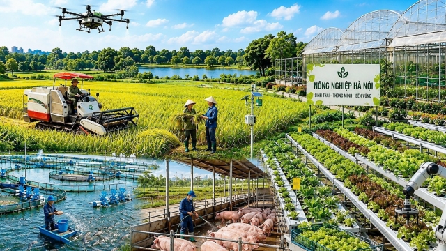 Nông nghiệp có thị trường, nhưng thiếu những điều kiện để hút vốn dài hạn