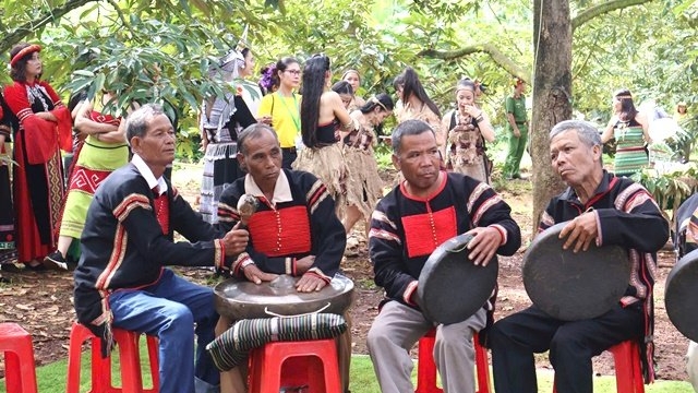 Đổi mới sáng tạo trong ngành sầu riêng: Từ “ Vùng trồng” đến “Vùng thương hiệu”