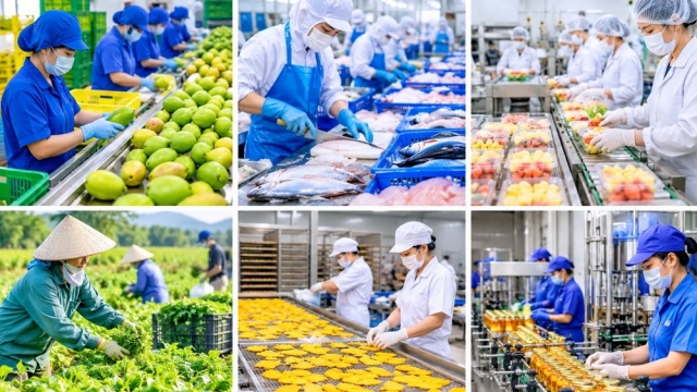 SPS không còn là hàng rào, mà là phép thử năng lực xuất khẩu nông sản Việt Nam