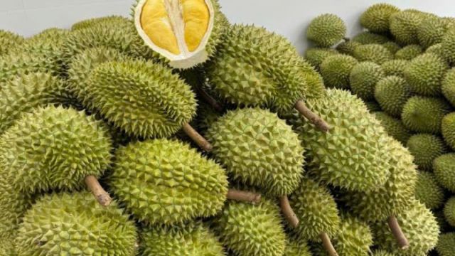 Giá sầu riêng hôm nay 25/10: Giảm tại Đắk Lắk