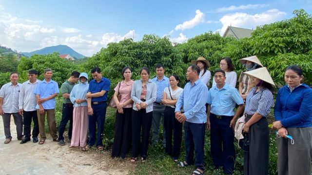 Bắc Ninh: Thúc đẩy liên kết theo chuỗi giá trị, nâng cao chất lượng và sức cạnh tranh của nông sản