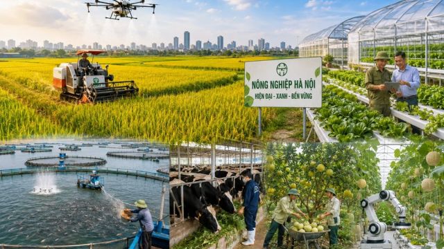 Nông nghiệp số: Công nghệ chỉ phát huy giá trị khi thị trường đón nhận