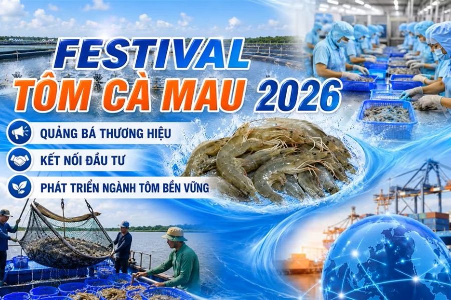Từ vùng nuôi đến thị trường quốc tế, Cà Mau nâng giá trị con tôm
