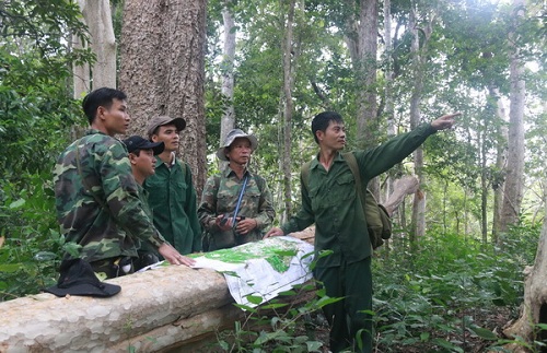 Tăng phí dịch vụ môi trường rừng - Hình 1