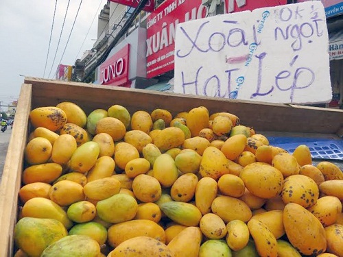 10 tháng Việt Nam nhập khẩu 120 nghìn tấn trái cây từ Trung Quốc - Hình 1