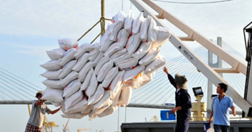Gần 10.000 tấn gạo xuất khẩu bị Mỹ, Nhật trả về - Hình 1