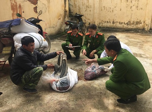 Thanh Hóa: Bắt giữ nửa tấn nội tạng trâu, bò lậu không rõ nguồn gốc