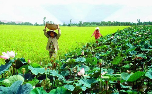 Kết nối du lịch “14 tỉnh, thành phố - Một điểm đến”