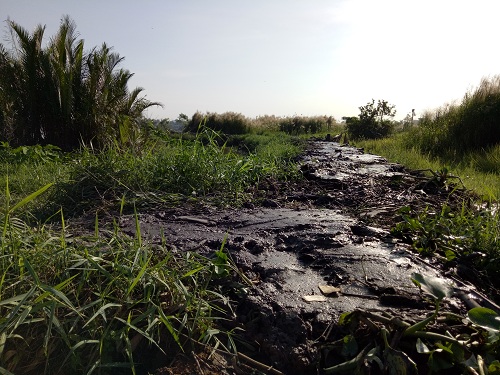 TP. Hồ Chí Minh: Triều cường đạt đỉnh, nhiều hộ dân trắng tay - Hình 1