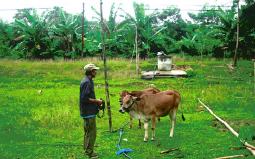 Áp dụng chính sách giảm nghèo theo tiêu chí thu nhập