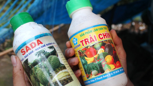 Tác hại khi sử dụng thuốc thúc chín trái cây