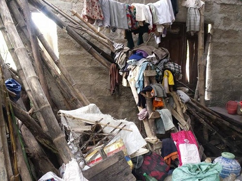 Chùm ảnh gia đình người rừng ở Huế - Hình 2