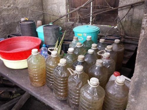 Chùm ảnh gia đình người rừng ở Huế - Hình 3