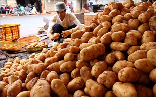 Lo ngại hàng nông sản Trung Quốc kém chất lượng tràn vào Việt Nam - Hình 1