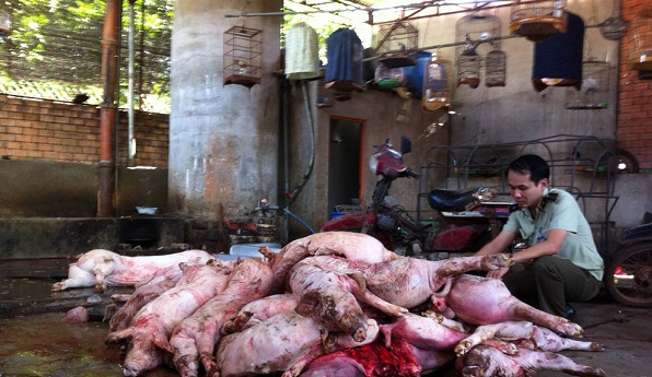 “Bóng ma” thực phẩm bẩn: Nỗi kinh hoàng!