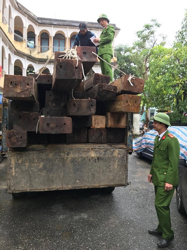 Quảng Bình: Bắt giữ xe ben chở gỗ không rõ nguồn gốc - Hình 1