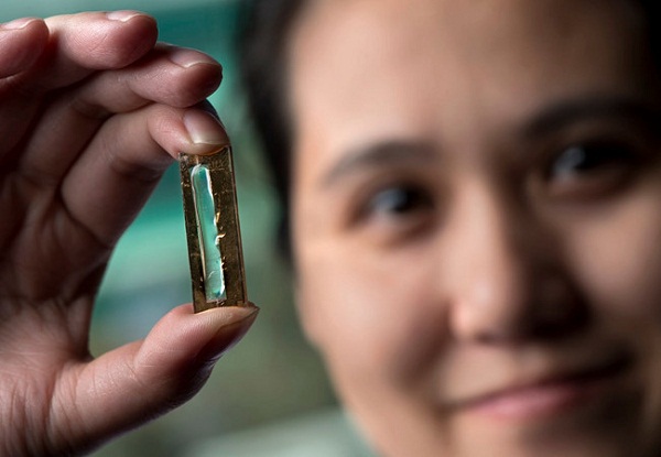 Nữ sinh gốc Việt tìm ra loại pin smartphone “thọ” đến 400 năm - Hình 1