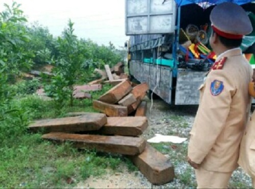 Huế: Bắt giữ vụ vận chuyển gỗ lậu trái phép