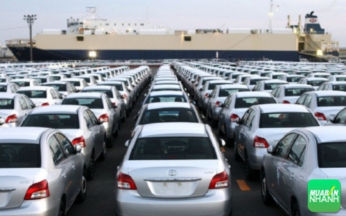 Nhiều doanh nghiệp nhập khẩu ô tô bị... "sờ gáy"