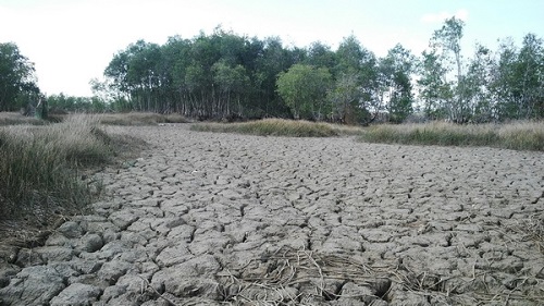 Phê duyệt chủ trương đầu tư Dự án Quản lý nước Bến Tre