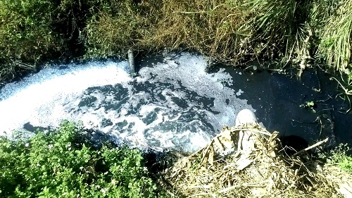 Huyện Văn Lâm (Hưng Yên): Người dân kêu cứu vì DN xả thải, “đầu độc” môi trường