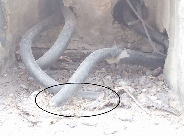 Hà Nam: Những dãy đèn chiếu sáng, tôn lượn sóng rào hộ lan hỏng bị bỏ mặc? - Hình 3