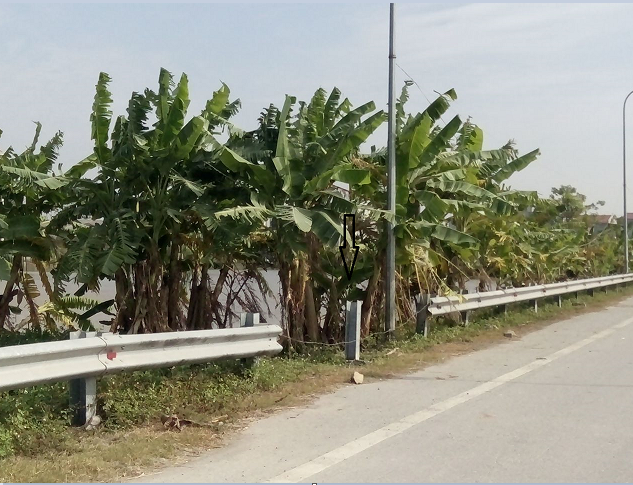 Hà Nam: Những dãy đèn chiếu sáng, tôn lượn sóng rào hộ lan hỏng bị bỏ mặc? - Hình 7